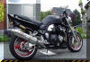 BegusBandit1200